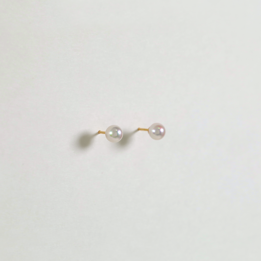 LUNA 024 S　(Pierce)