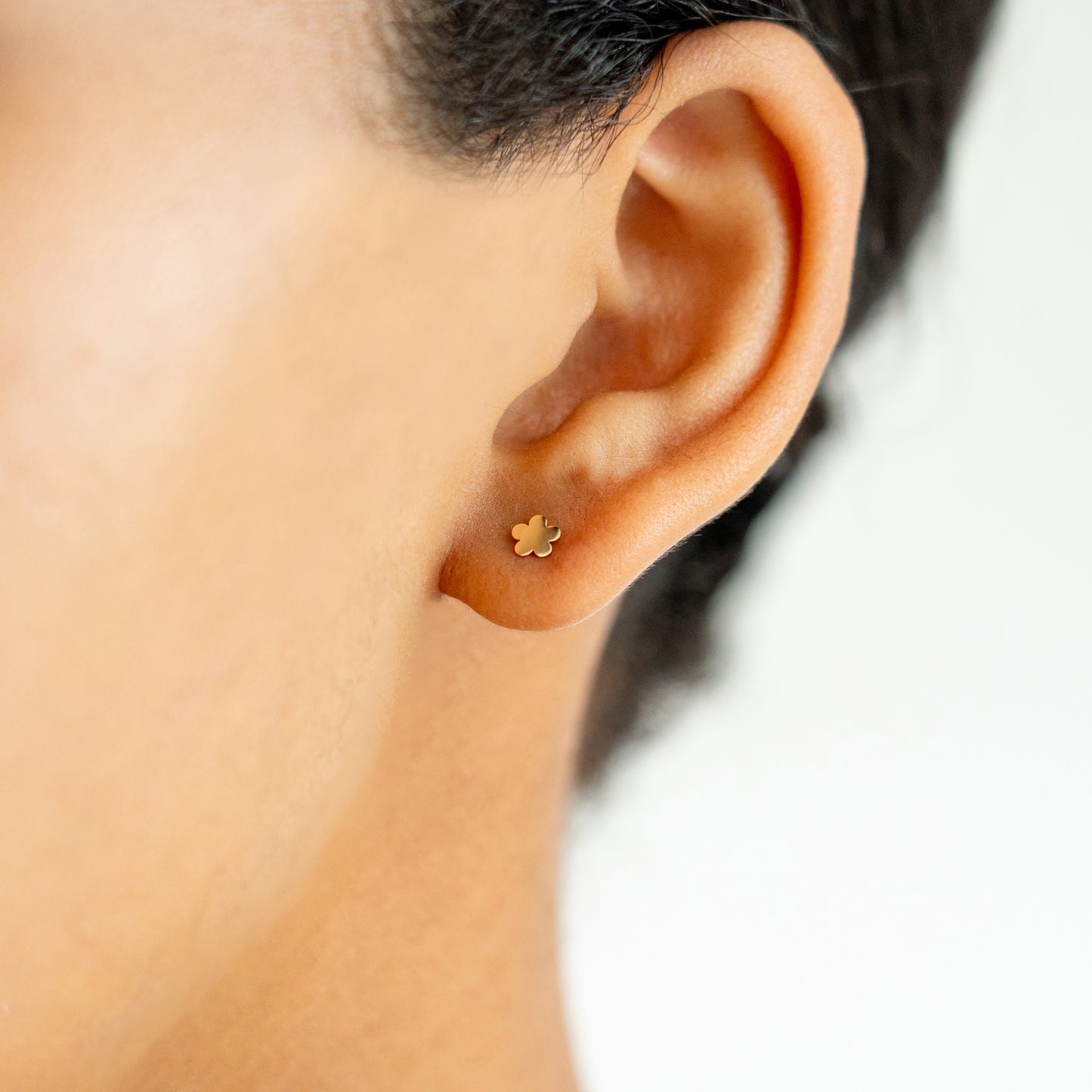 EDGE 012　(Pierce)
