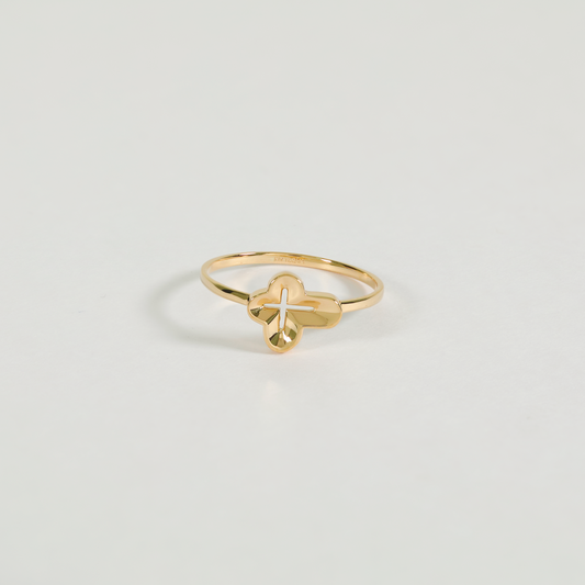 FOR 002　(Ring)