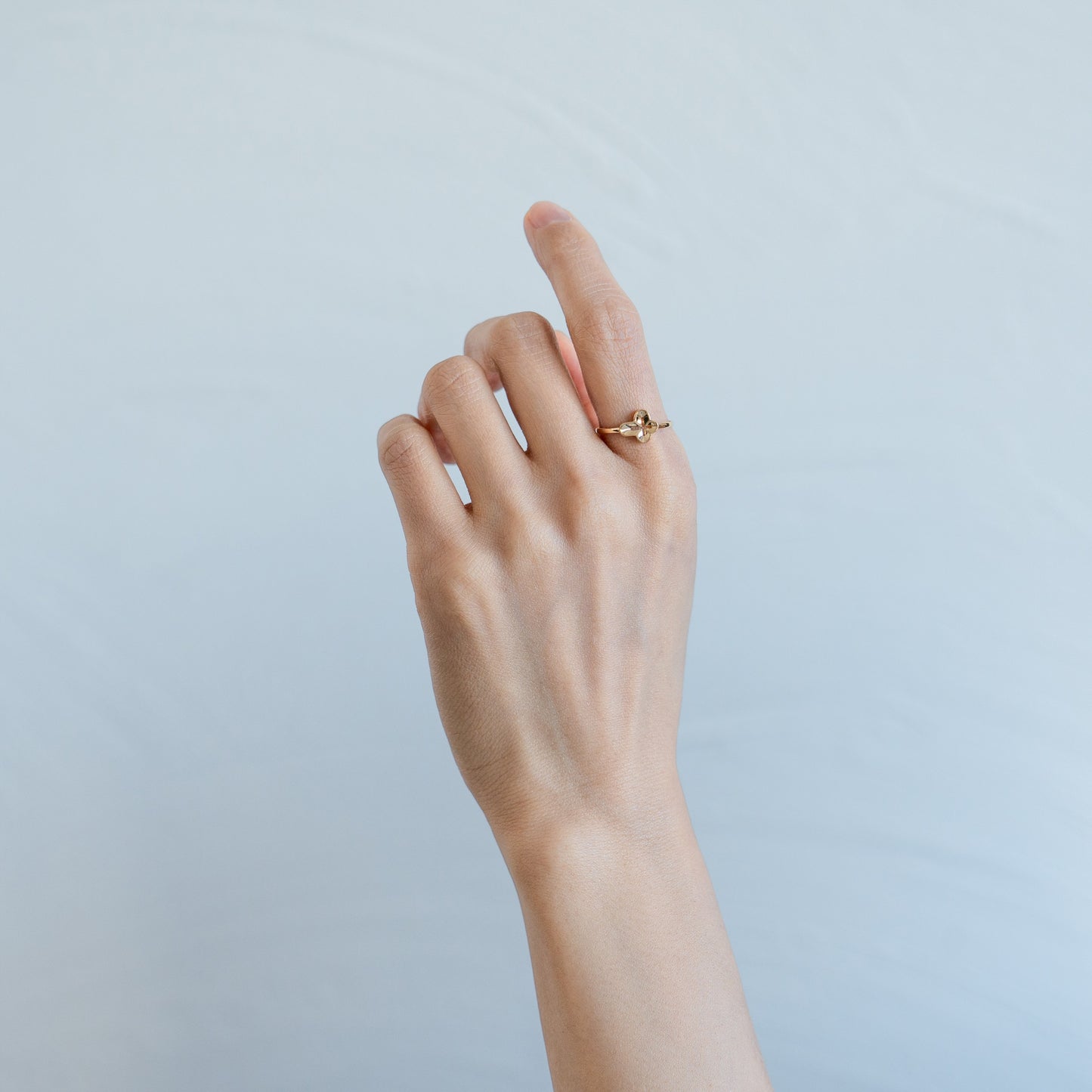 FOR 002　(Ring)