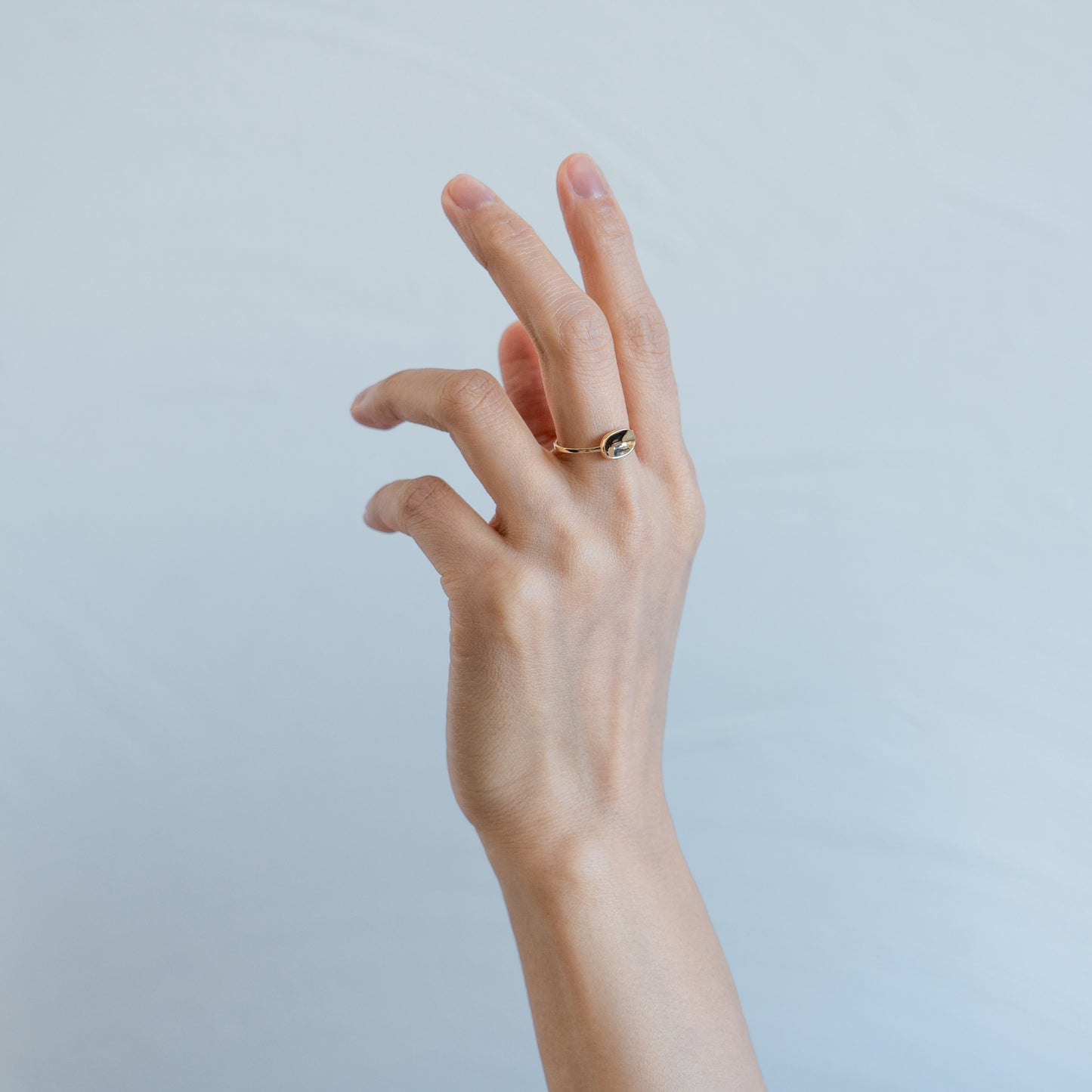 FOR 004　(Ring)