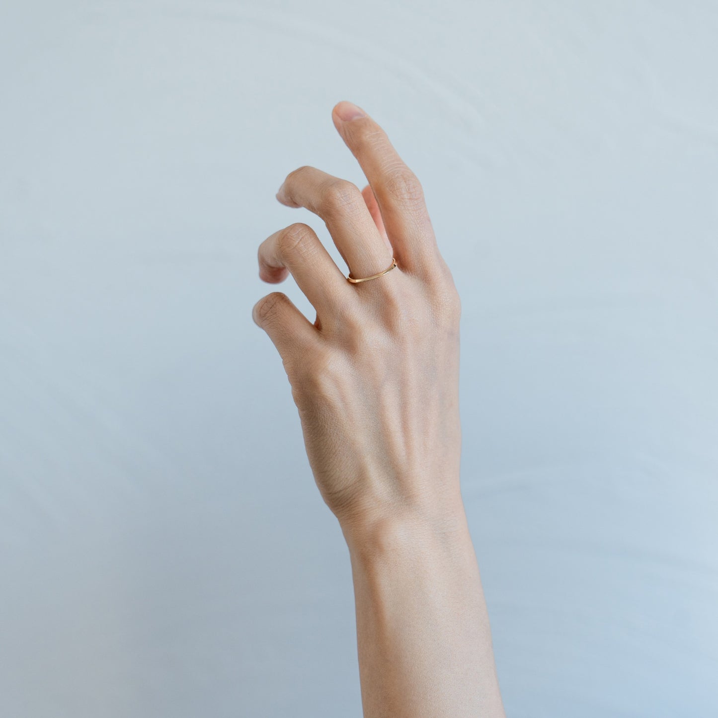FOR 006　(Ring)