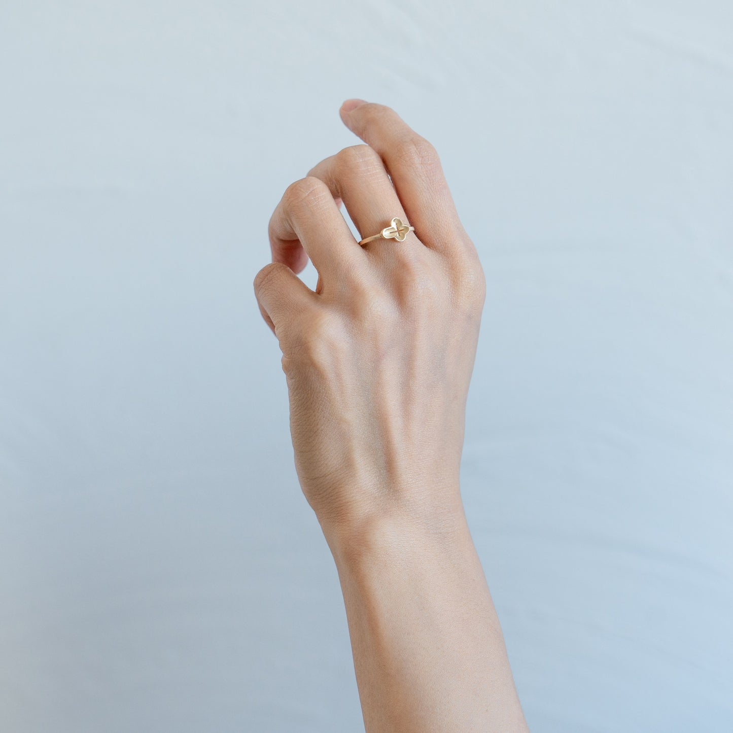 FOR 002　(Ring)