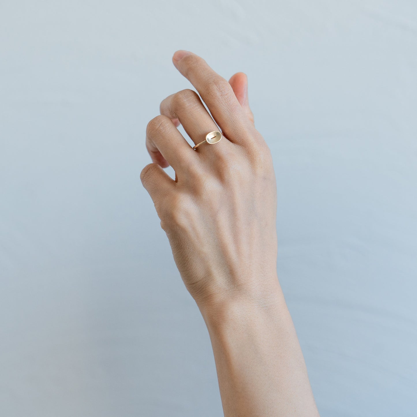 FOR 004　(Ring)